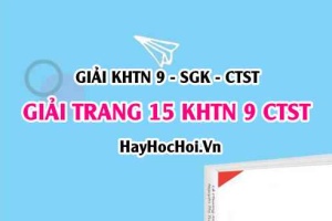 Giải KHTN 9 trang 15 Chân trời sáng tạo SGK